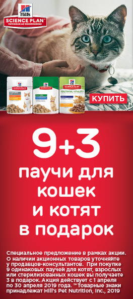 Акция Hill's Паучи для кошек и котят в подарок